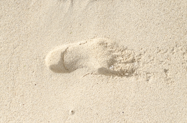 浜辺の足跡